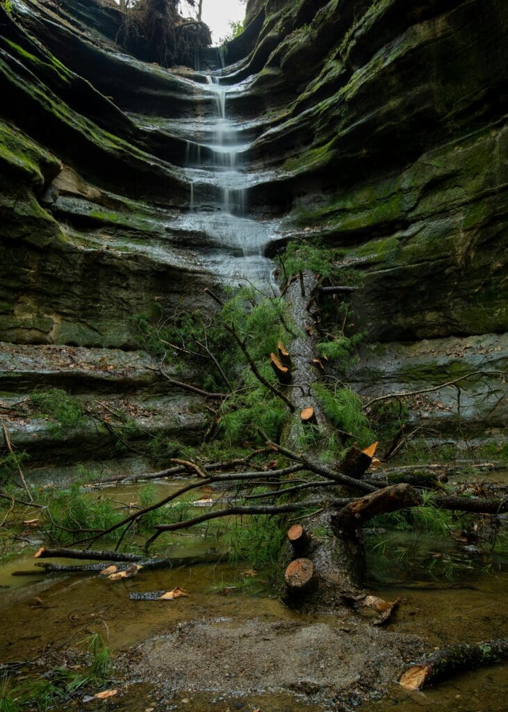 Starved Rock State Park in Illinois offers stunning sandstone canyons, cascading waterfalls, and lush forested trails, creating a serene and picturesque backdrop for an elopement. Couples can exchange vows amidst nature’s beauty, making the day truly unforgettable.